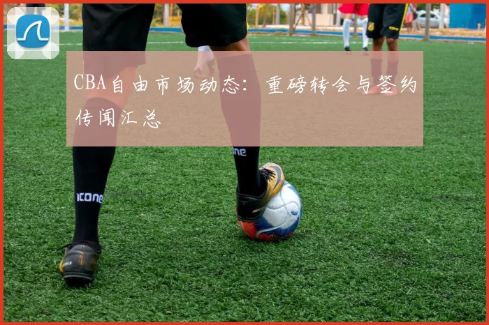 CBA自由市场动态：重磅转会与签约传闻汇总