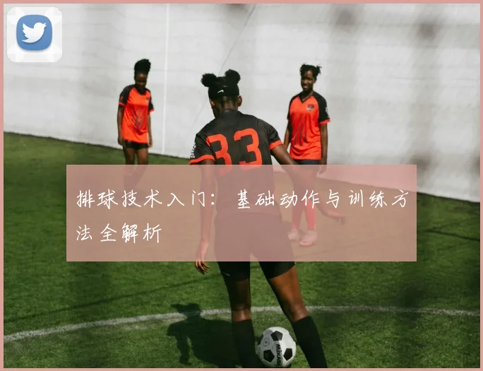 排球技术入门：基础动作与训练方法全解析