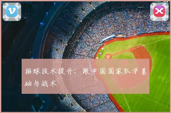 排球技术提升：跟中国国家队学基础与战术