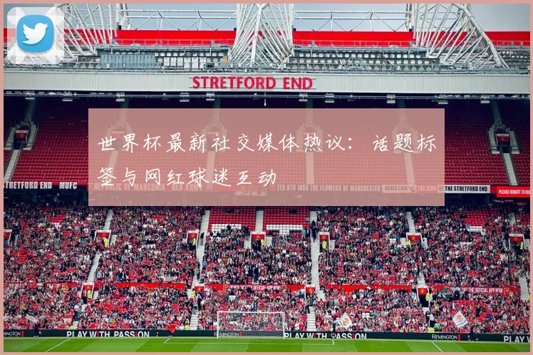 世界杯最新社交媒体热议：话题标签与网红球迷互动