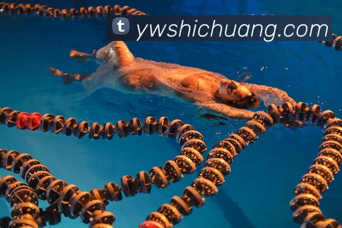 用户互动社区